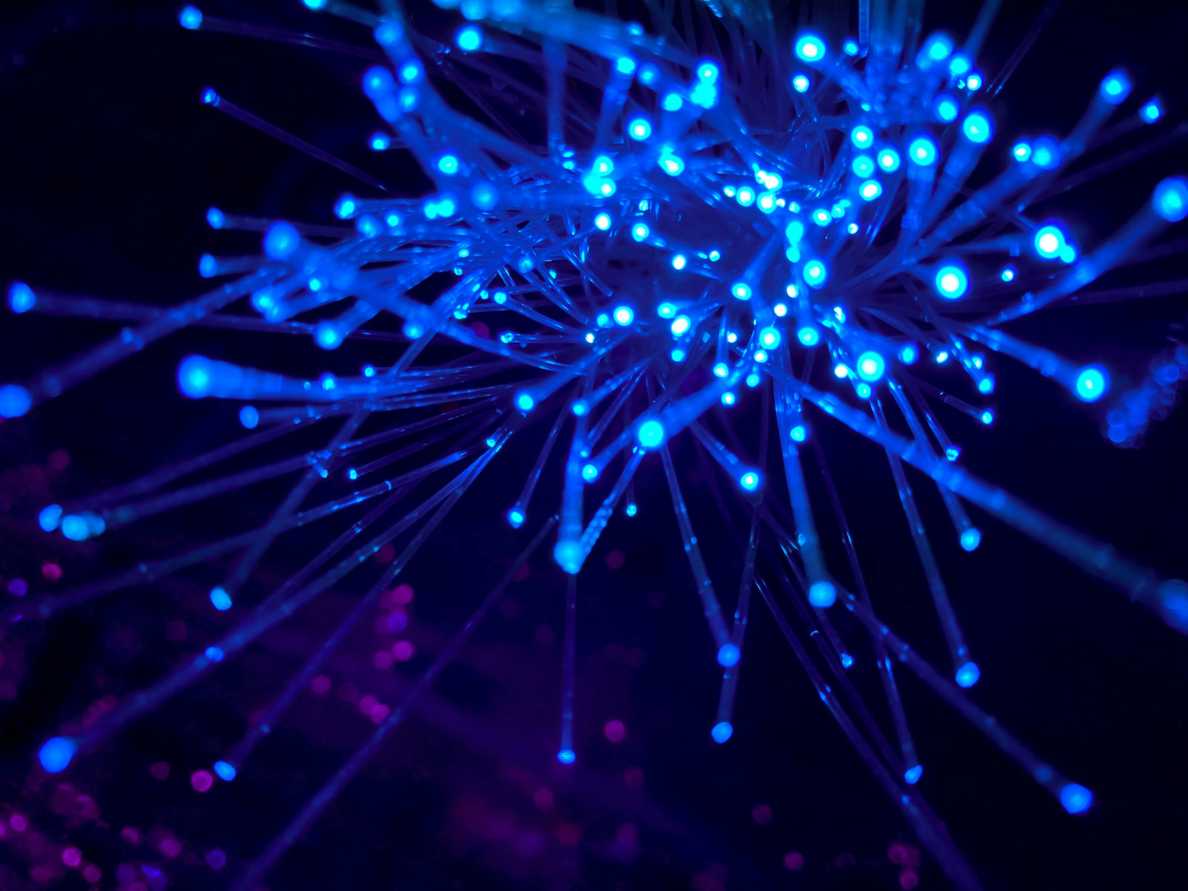 Close-up of glowing blue fiber optic lights against a dark background.